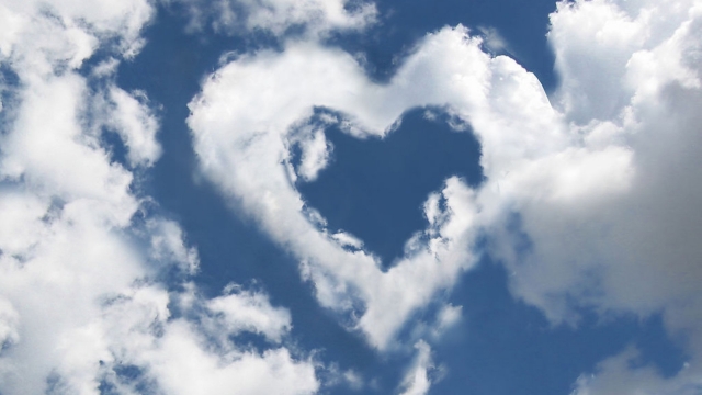 K1体育登录入口官网网址室内有氧健身器械有哪些